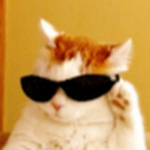 Meet your Posher, Mckenna